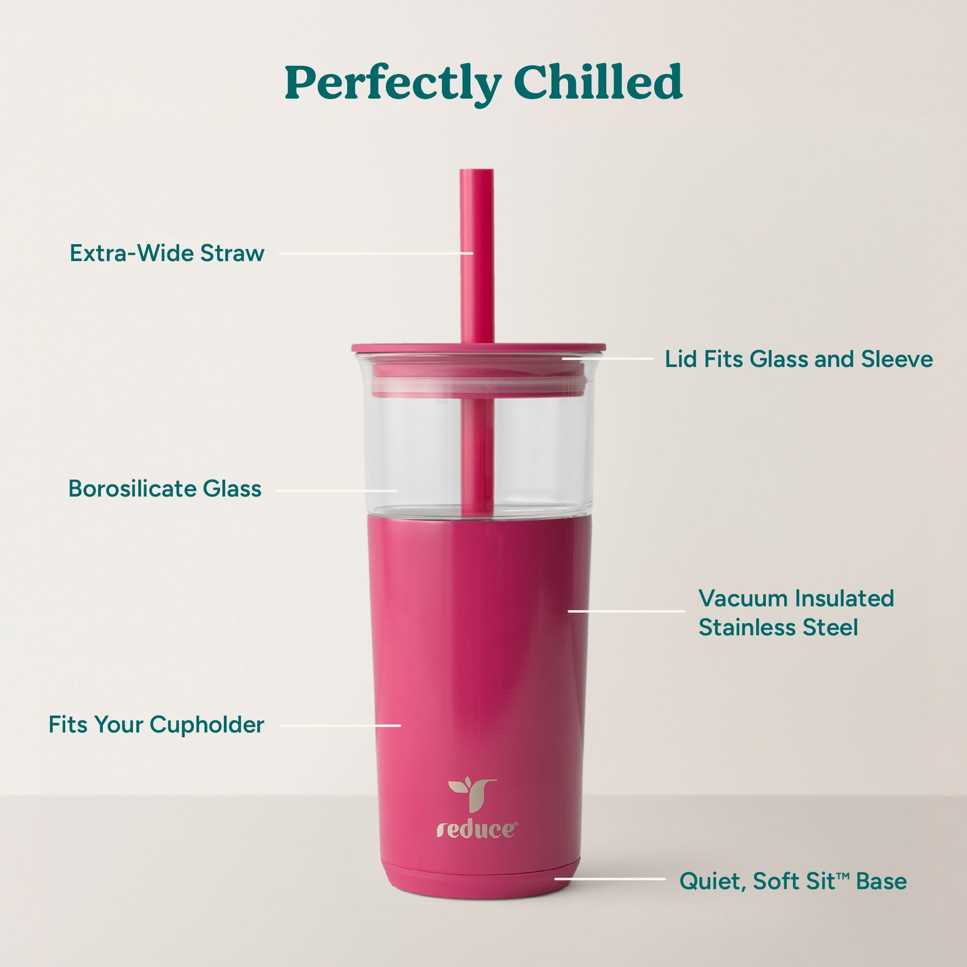 aspen-20-oz-b1 Aspen_Dragonfruit_PDP_Infographic2.jpg