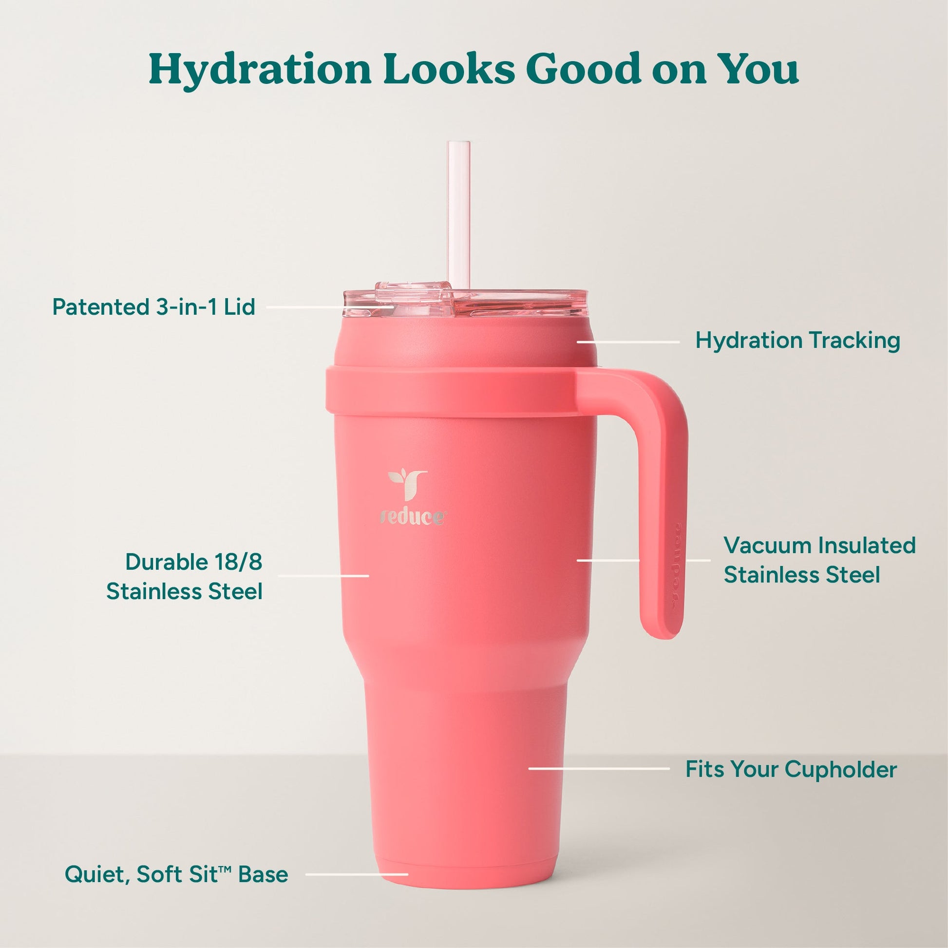 cold1-40-oz-i8 Cold1_40oz_Daiquiri_Infographic_2.jpg