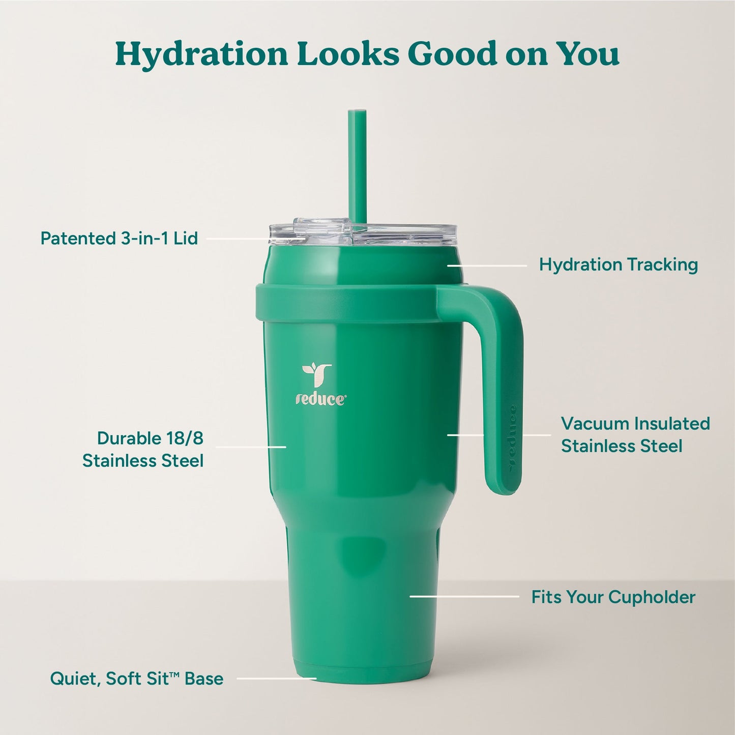 cold1-40-oz-a7 Cold1_40oz_PalmLeaf_Infographic_2.jpg