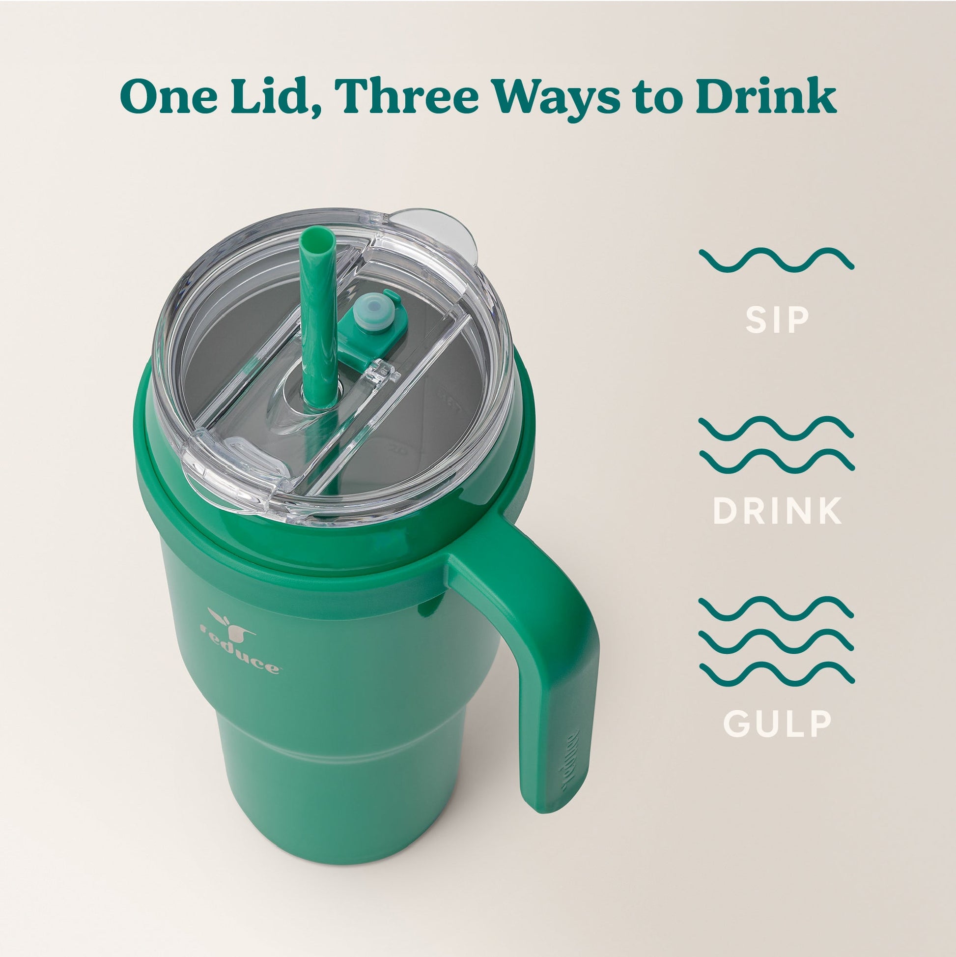 cold1-40-oz-i8 Cold1_40oz_PalmLeaf_Infographic_3.jpg