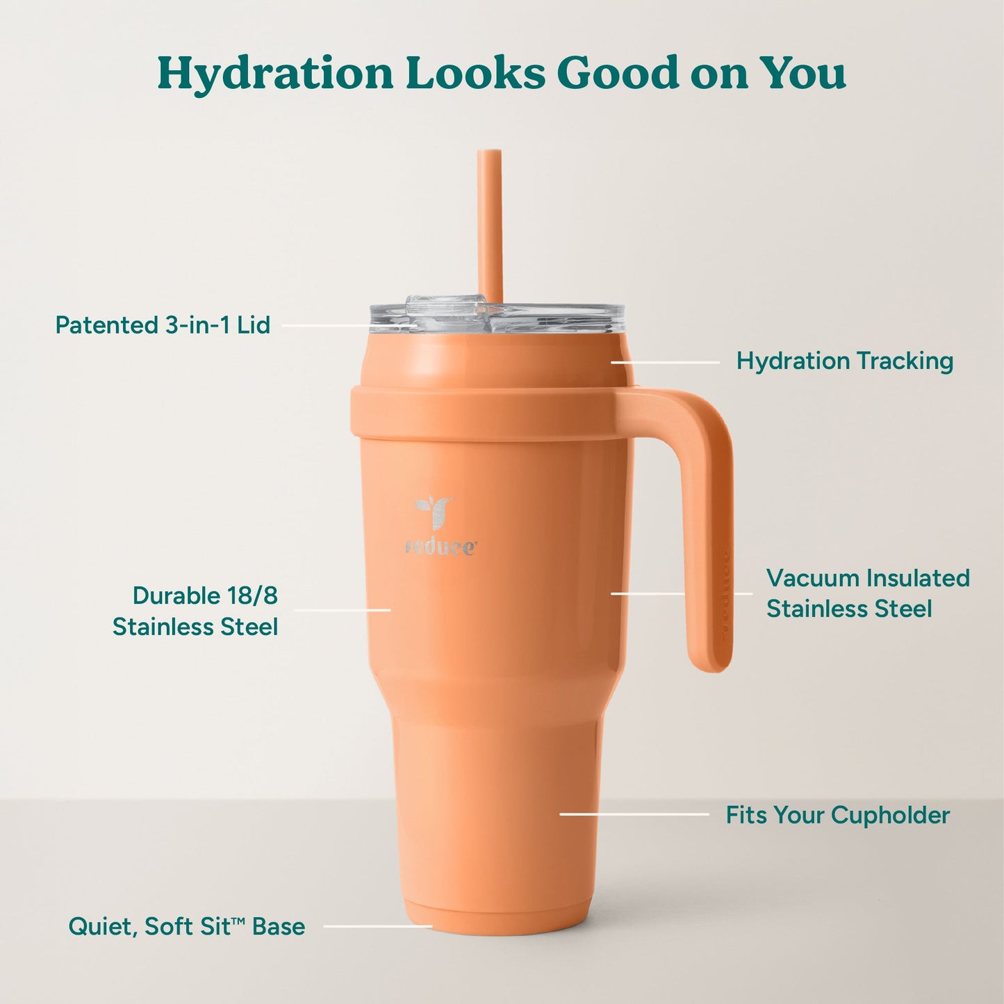 cold1-40-oz-a7 Cold1_40oz_Papaya_Infographic_2.jpg