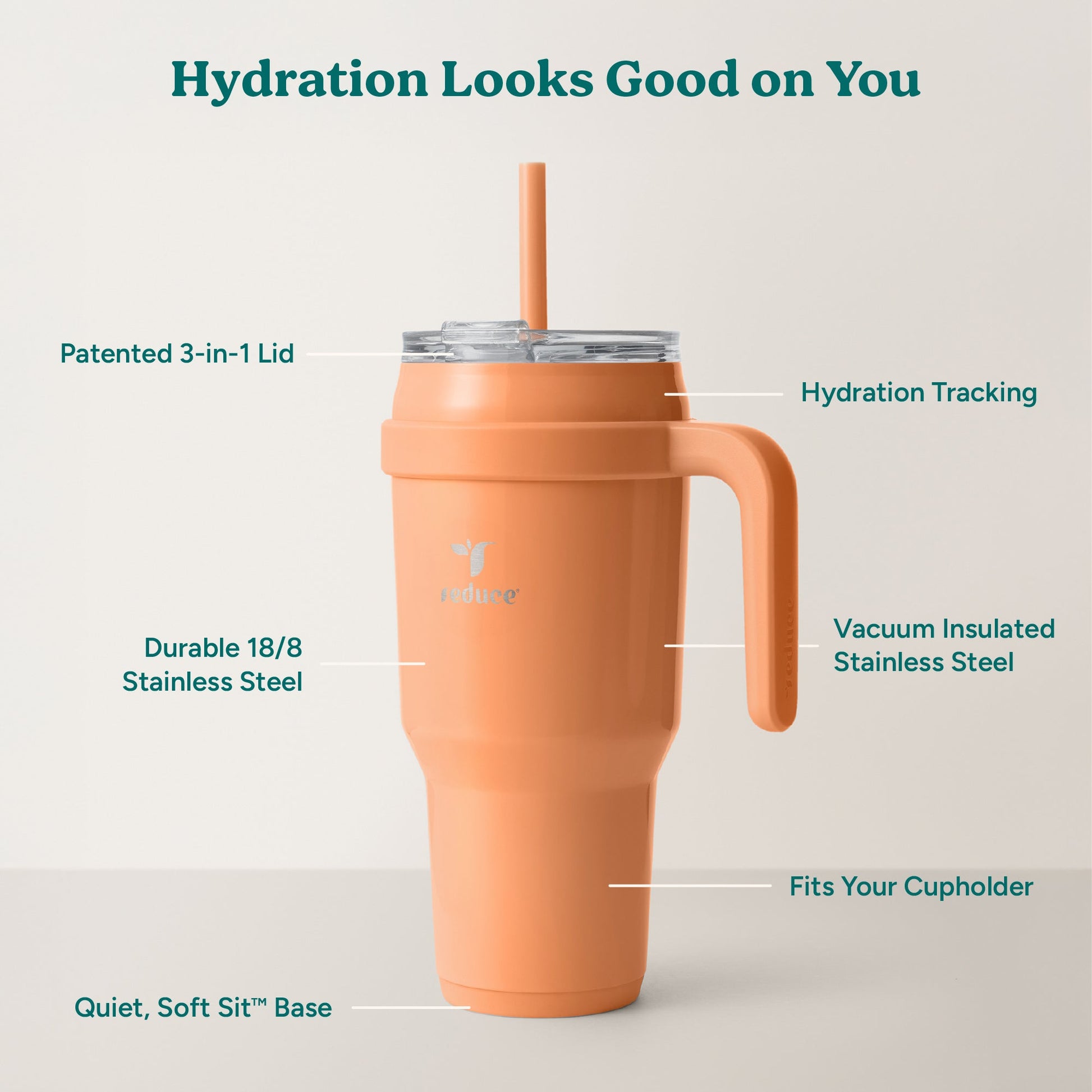 cold1-40-oz-a7 Cold1_40oz_Papaya_Infographic_2.jpg