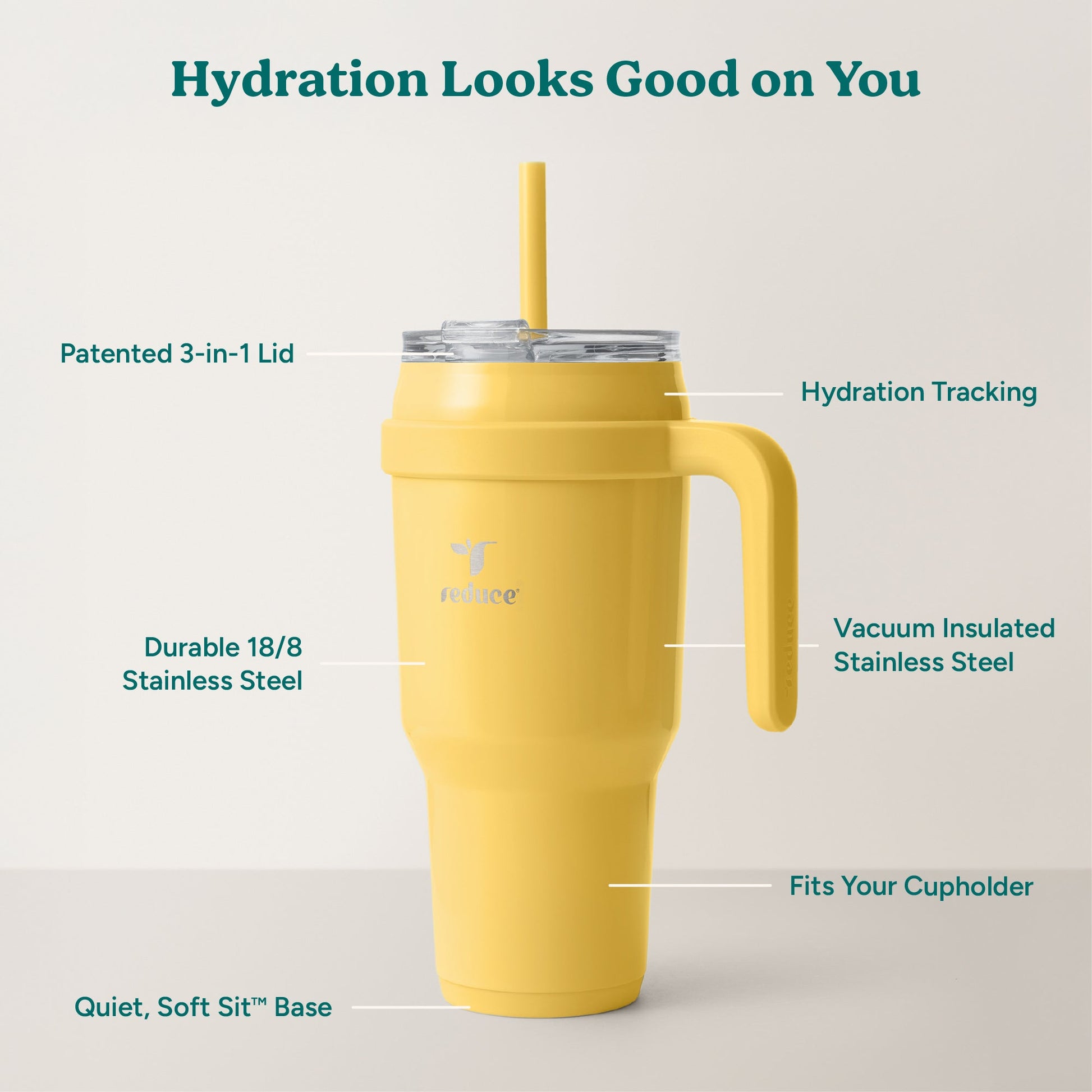cold1-40-oz-i8 Cold1_40oz_Pineapple_Infographic_2.jpg